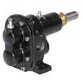 Rotary Pumps image